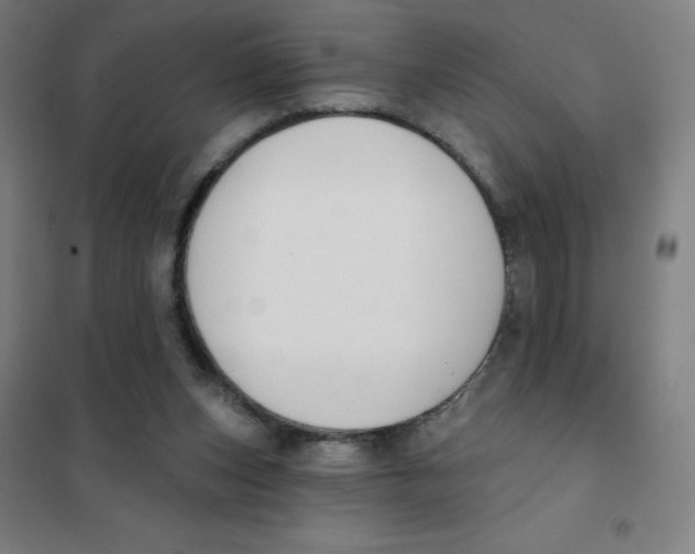 X0000101400159200808041049