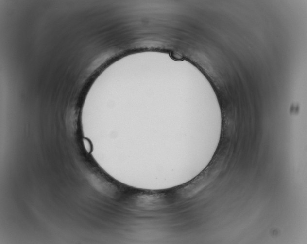 X0000101400160200808041049