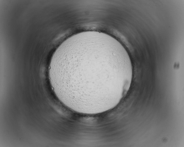 X0000101400161200808041049