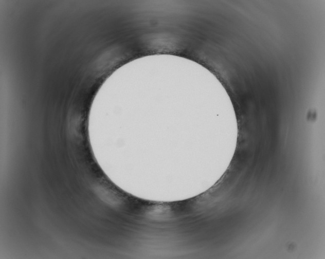 X0000101400162200808041049