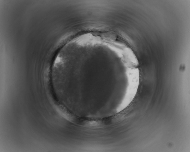 X0000101400163200808041049