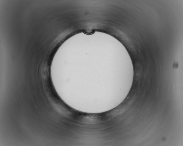 X0000101400164200808041049