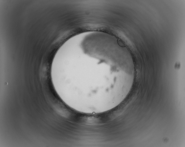 X0000101400165200808041049