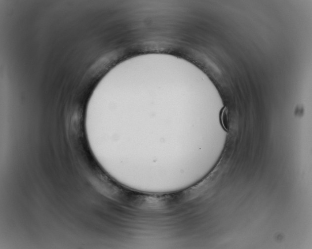 X0000101400166200808041049