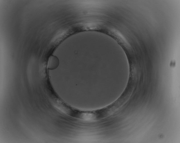 X0000101400169200808041049