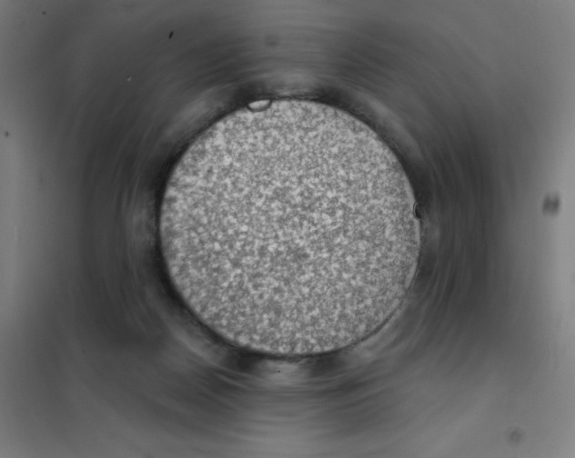 X0000101400170200808041049