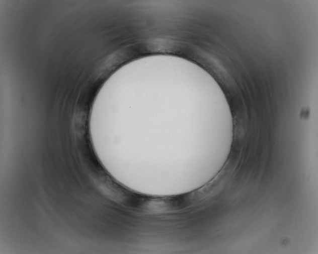 X0000101400171200808041049