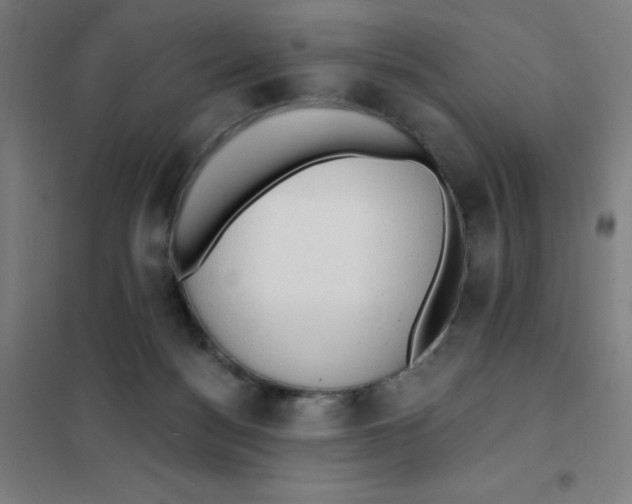 X0000101400172200808041049