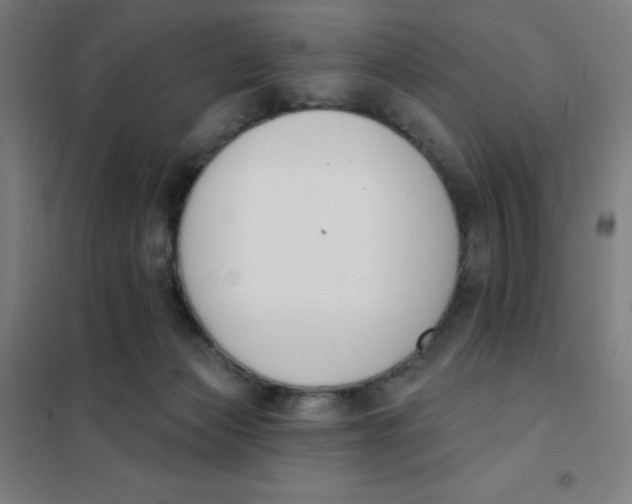 X0000101400173200808041049