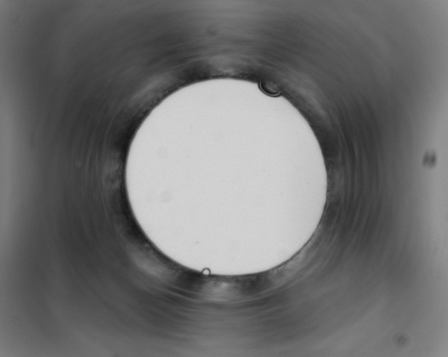 X0000101400174200808041049