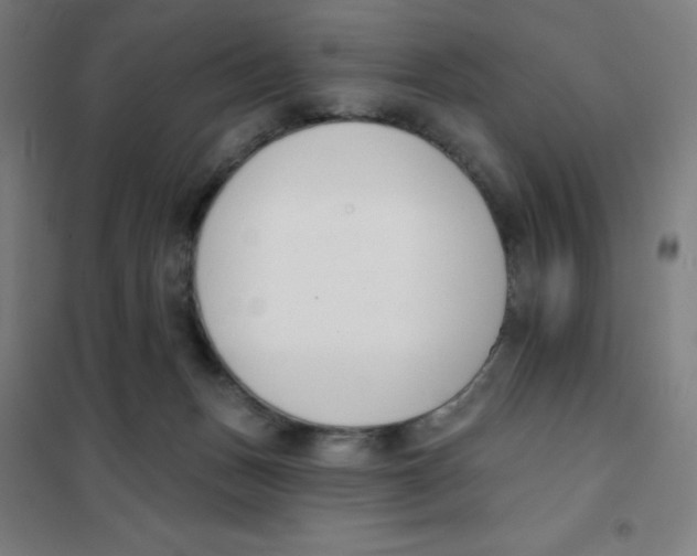 X0000101400175200808041049