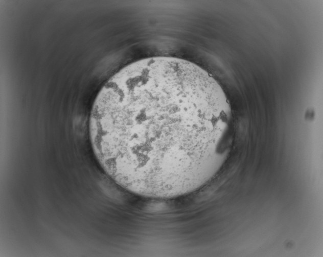 X0000101400177200808041049