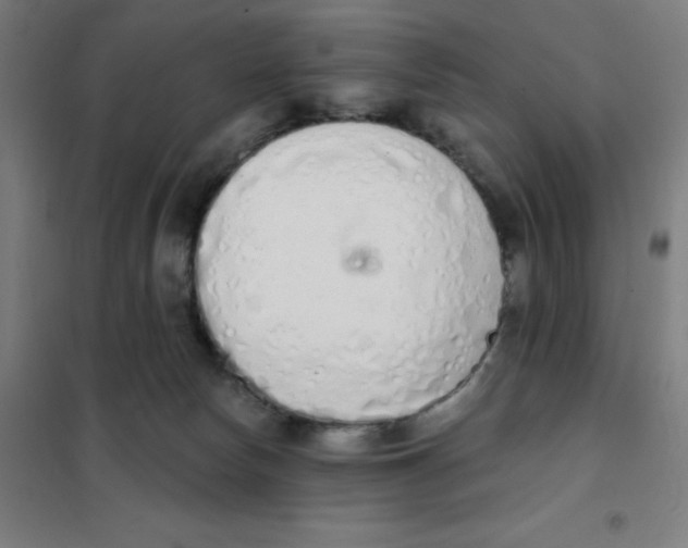 X0000101400178200808041049