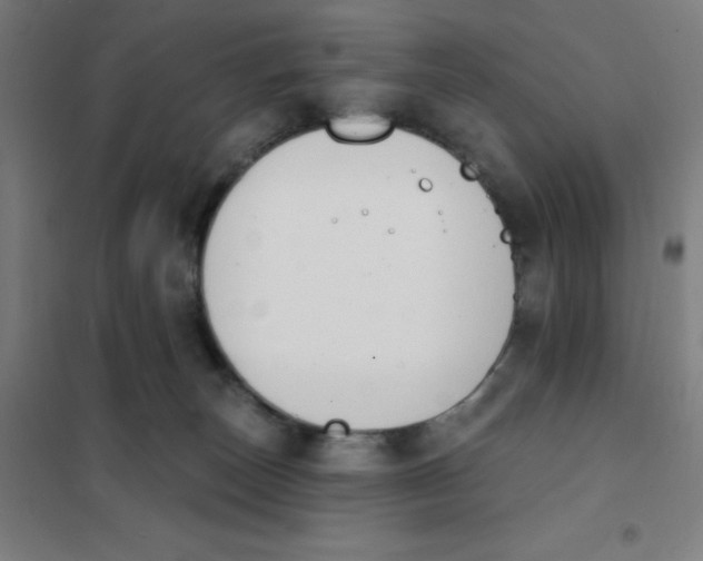 X0000101400179200808041049