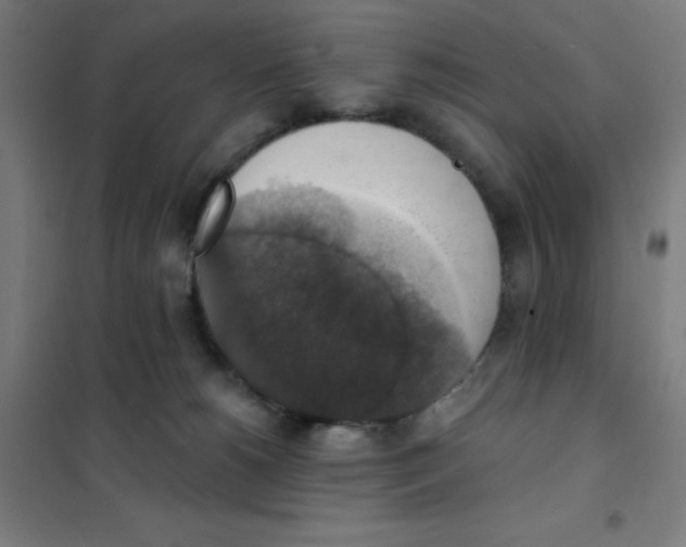 X0000101400180200808041049