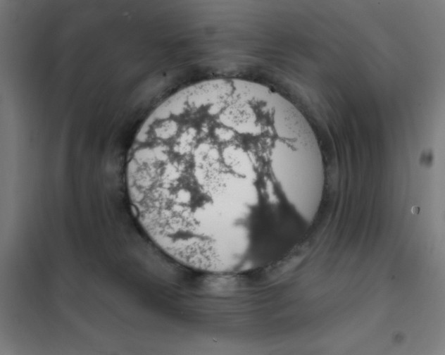 X0000101400181200808041049