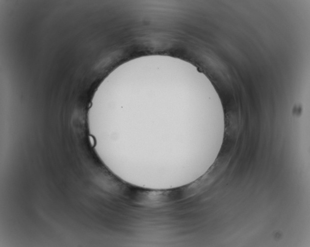 X0000101400184200808041049