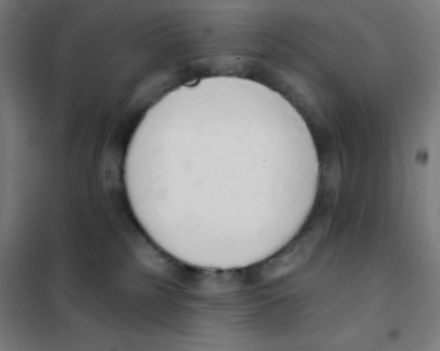 X0000101400185200808041049