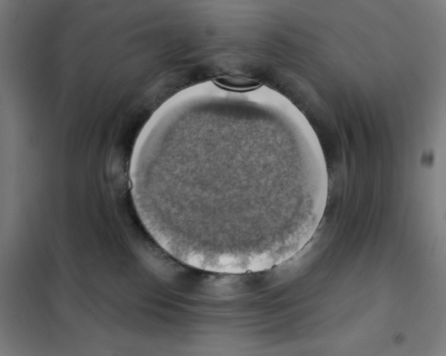 X0000101400186200808041049