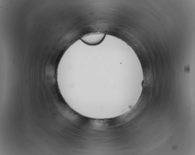 X0000101400187200808041049