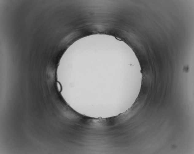 X0000101400188200808041049