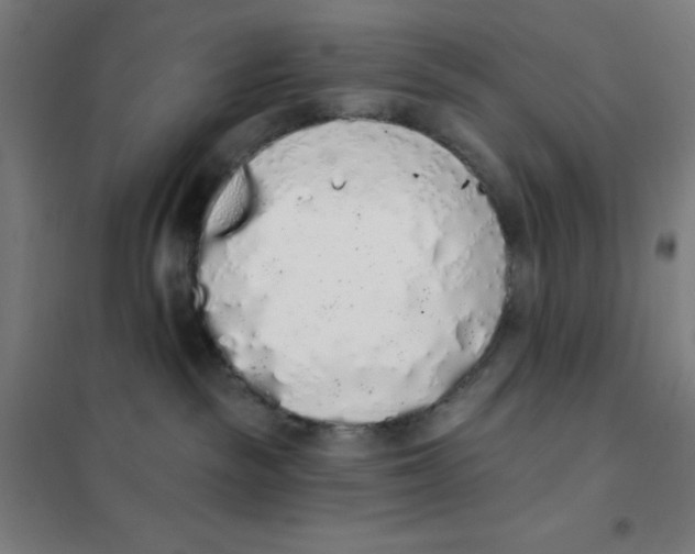 X0000101400189200808041049