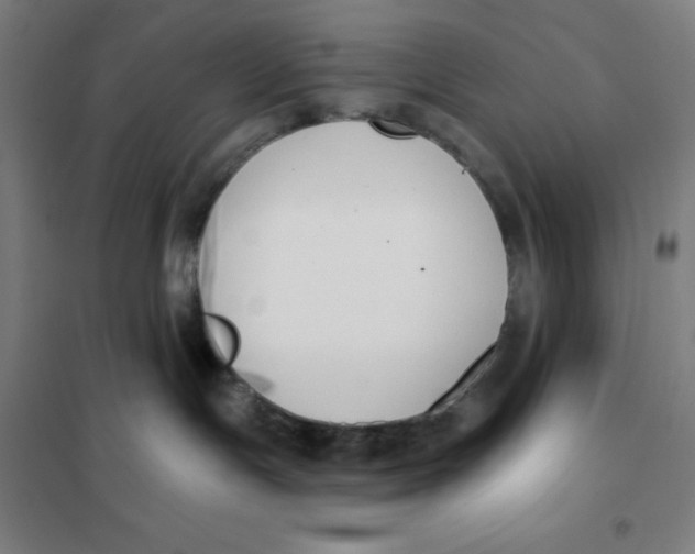 X0000101400191200808041049