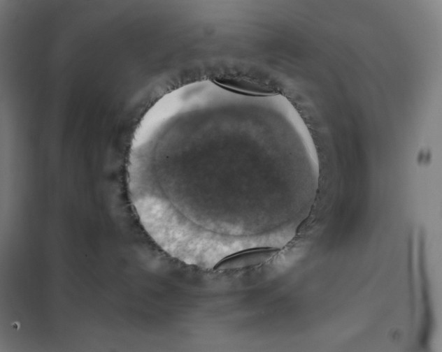 X0000101400192200808041049