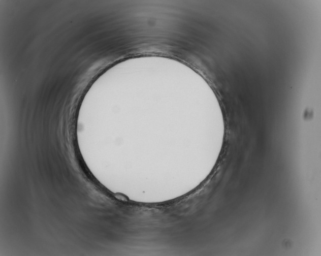 X0000101400193200808041049