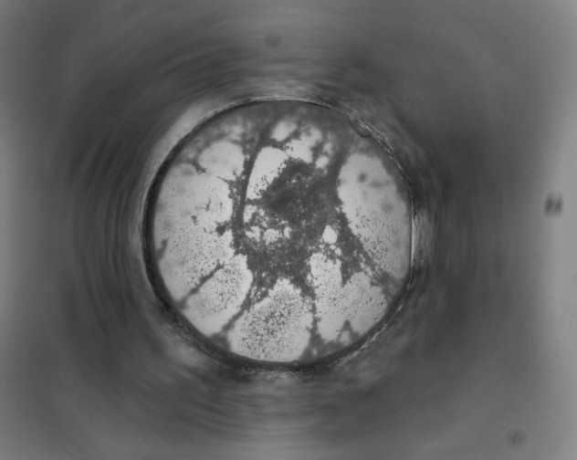 X0000101400195200808041049