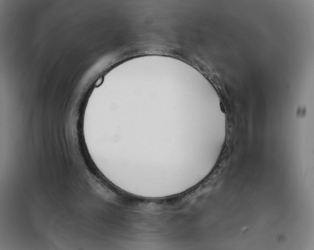 X0000101400197200808041049