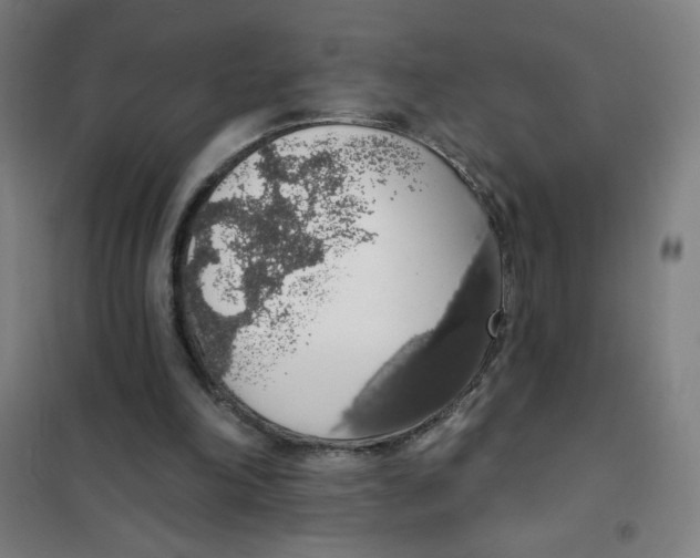 X0000101400198200808041049