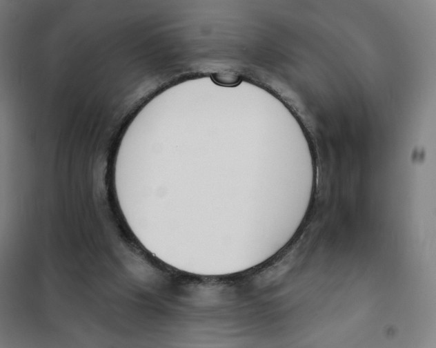 X0000101400201200808041049