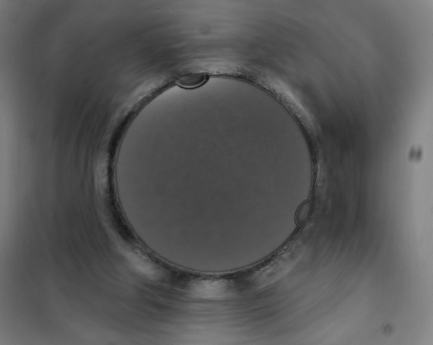 X0000101400202200808041049