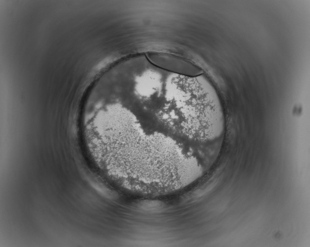 X0000101400203200808041049