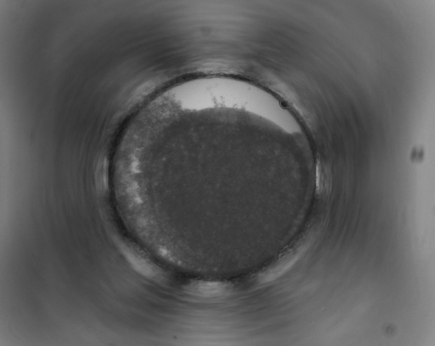 X0000101400205200808041048