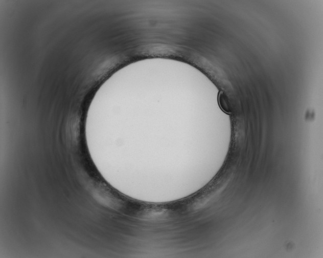 X0000101400206200808041048