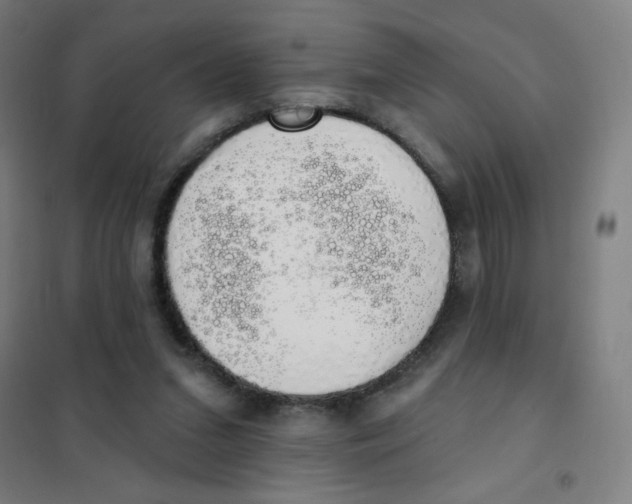 X0000101400207200808041048