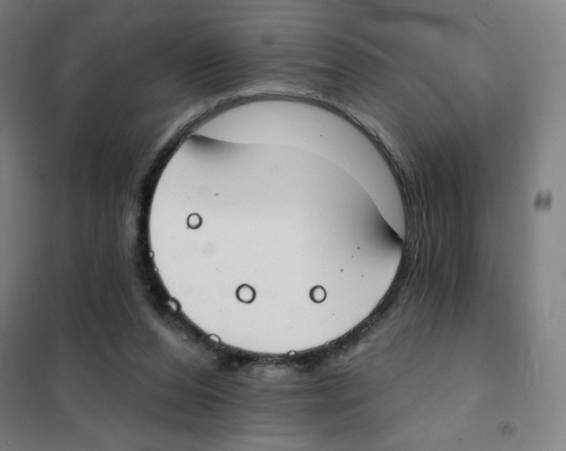 X0000101400208200808041048