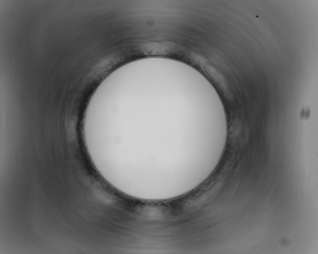 X0000101400209200808041048