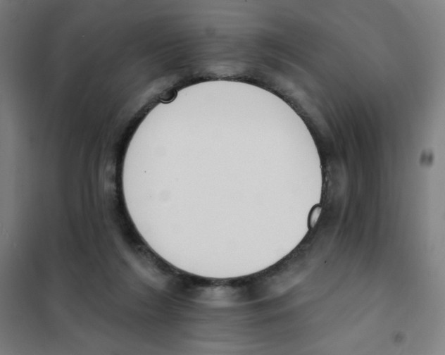 X0000101400212200808041048