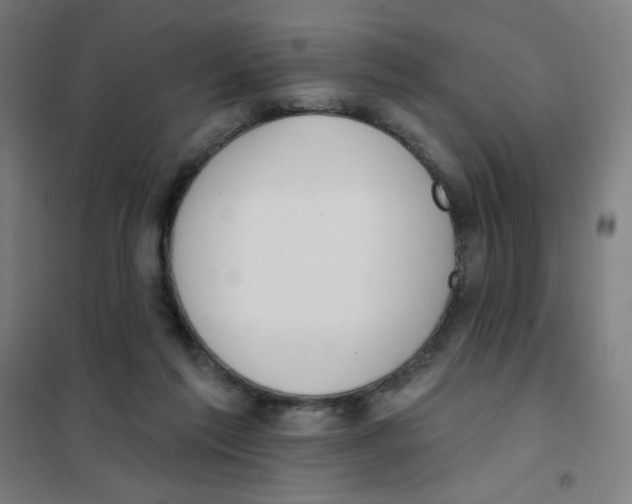 X0000101400213200808041048