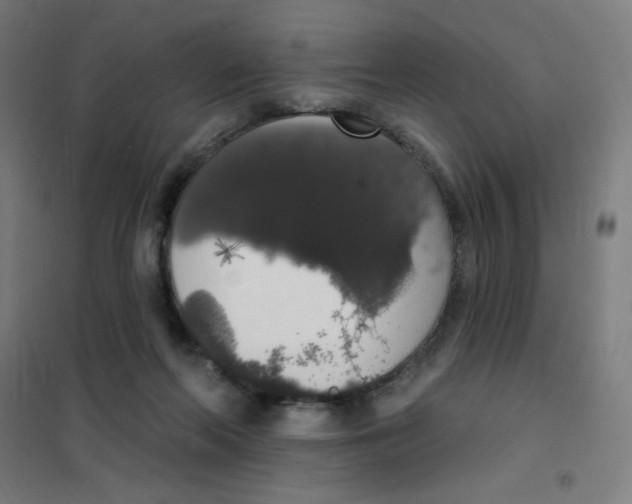 X0000101400214200808041048