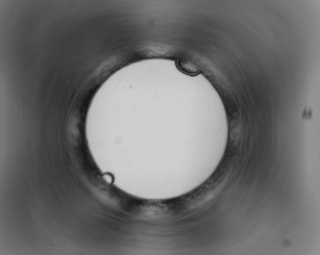 X0000101400215200808041048