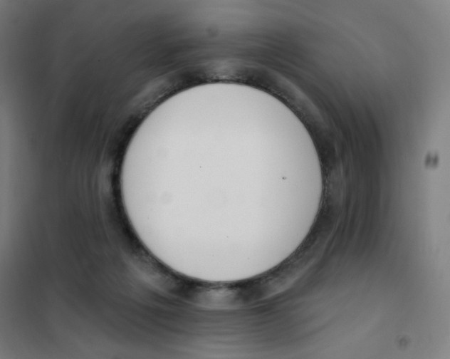 X0000101400217200808041048