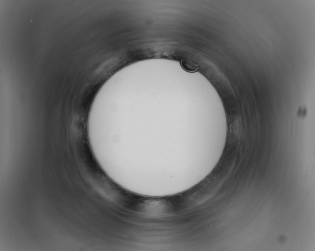 X0000101400218200808041048