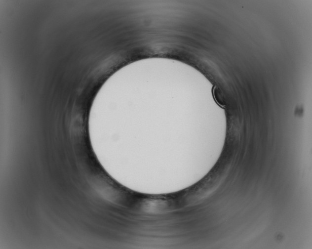 X0000101400220200808041048