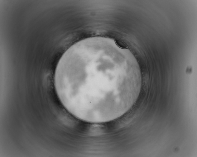 X0000101400222200808041048