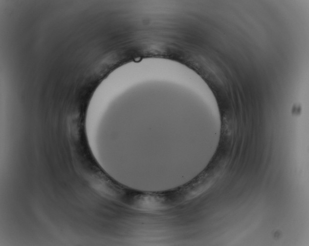 X0000101400223200808041048