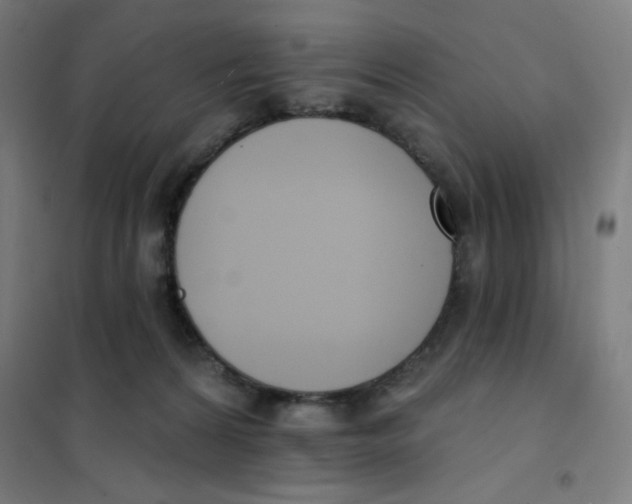 X0000101400224200808041048